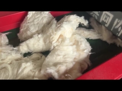 800 एफ मॉडल 6 मिमी स्क्रीन छेद, कपास काटने की मशीन, काटने की मशीन कुचल